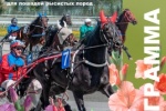 28 ������� 2026 ���� �� ��������� "�������" ��������� 20 ���� ��������������� ���������
